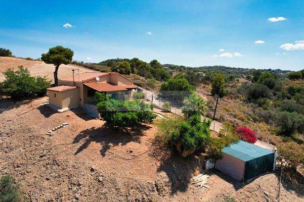 img_875b607c-de1d-4668-9361-e357cd208728