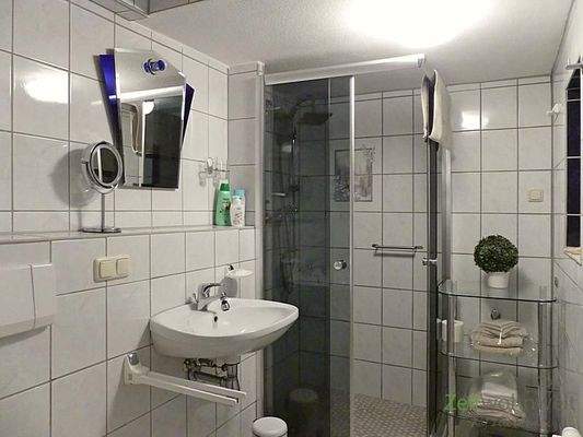 getönte Dusche und WC