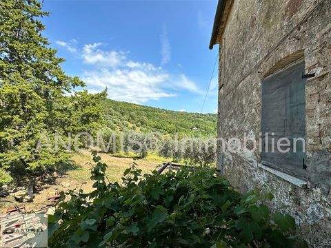 Massa Marittima Industrieflächen, Lagerflächen, Produktionshalle, Serviceflächen