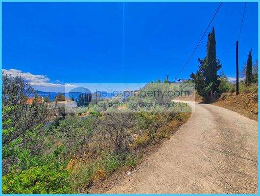 2ce2fb978cff41d1b609881ff58600e6-original