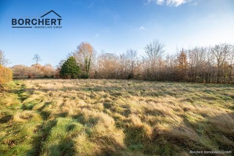 Kummerfeld Grundstücke, Kummerfeld Grundstück kaufen