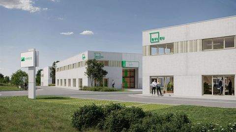 Lübeck Halle, Lübeck Hallenfläche