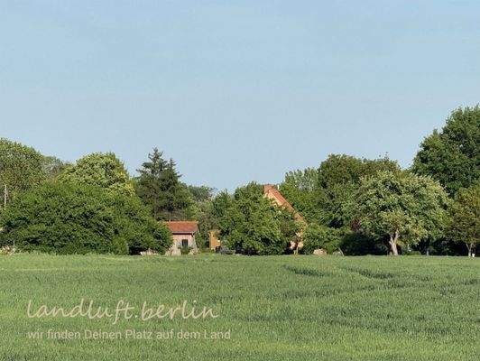 Blick vom westlichen Grundstücksteil, aktuell dur
