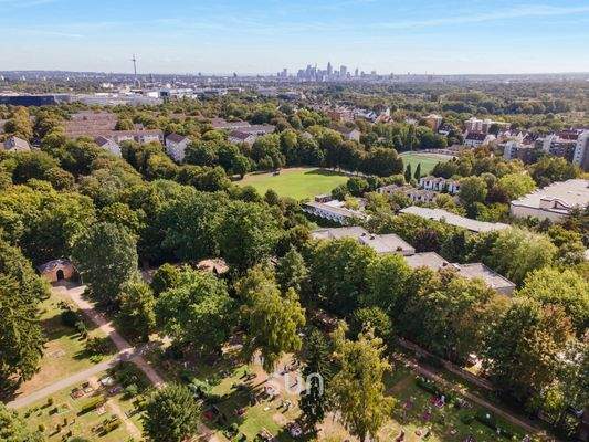 TRAUMHAFT: MITTEN IM GRÜNEN