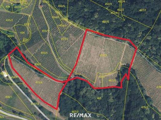 Gis-II mit ungefähren Grenzverlauf