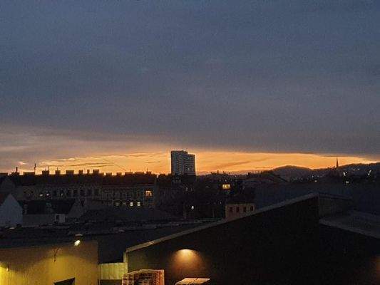 PHOTO-2021-03-12-14-025-41