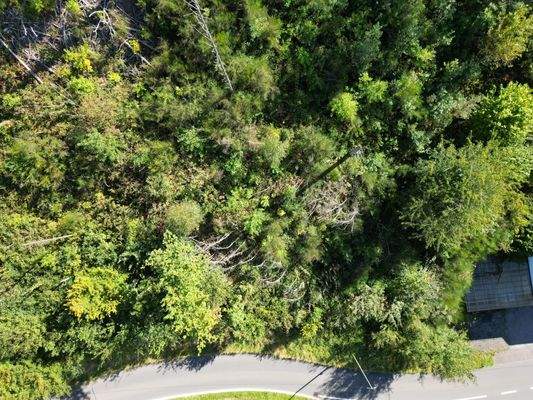 Ansicht vom gesamten Grundstück 