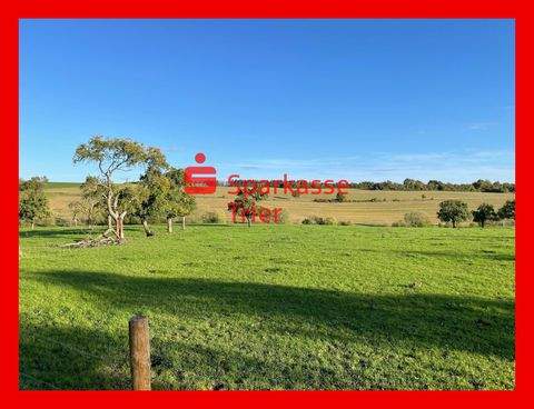 Newel Grundstücke, Newel Grundstück kaufen