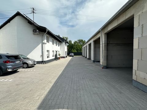 Swisttal Halle, Swisttal Hallenfläche