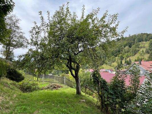 Garten über den Dächern Oberneubrunns