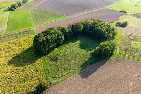 Gladenbach Bauernhöfe, Landwirtschaft, Gladenbach Forstwirtschaft