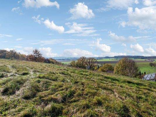 oberer Teil des Grundstücks