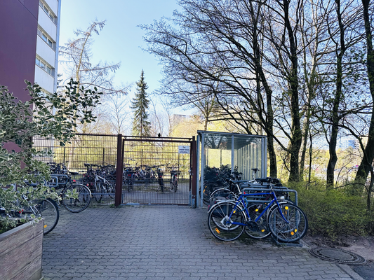 Bild 11