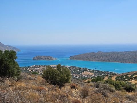 Kreta Bauernhöfe, Landwirtschaft, Kreta Forstwirtschaft