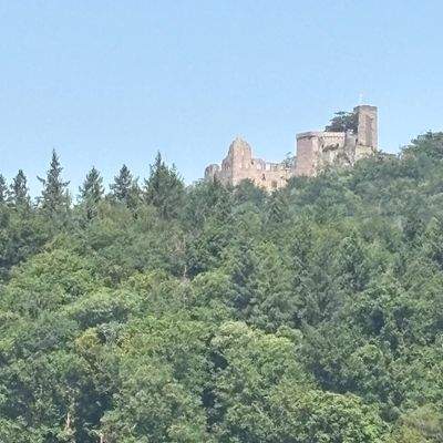 Aussicht Altes Schloss