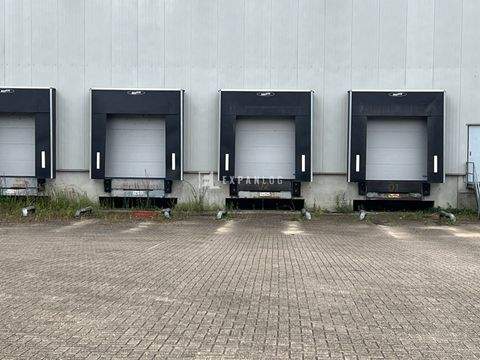 Solingen Halle, Solingen Hallenfläche