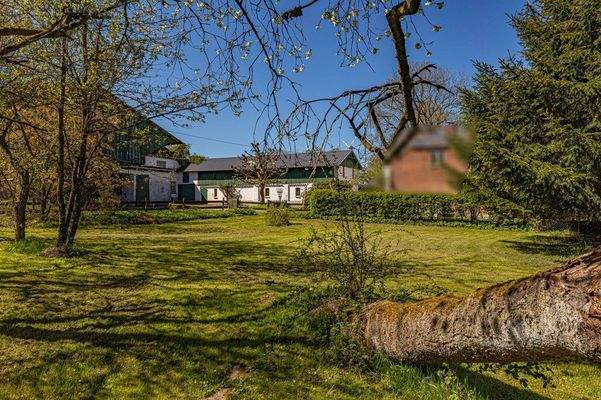 Blick vom Obstgarten