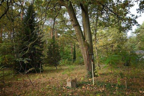 Zeugen vergangener Zeiten.JPG