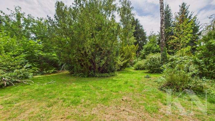 Garten (hinterer Teil)