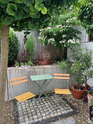 Garten im Sommer