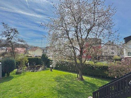 Gartenbereich mit Zierteich