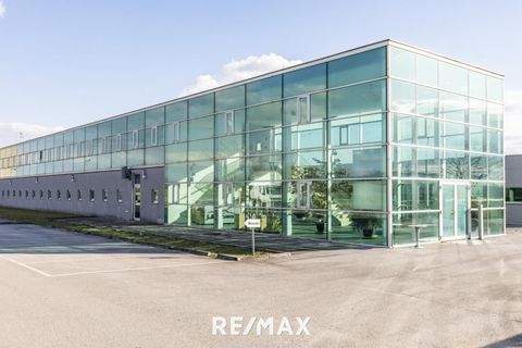 Parndorf Halle, Parndorf Hallenfläche