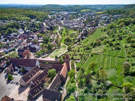 Kloster und Weinberge