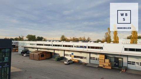 Dornbirn Halle, Dornbirn Hallenfläche