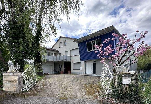 Eingangsbereich mit elektrischem Tor