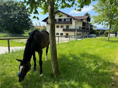 Bad Griesbach i.Rottal Wohnungen, Bad Griesbach i.Rottal Wohnung kaufen