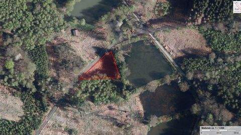 Ruppichteroth Bauernhöfe, Landwirtschaft, Ruppichteroth Forstwirtschaft