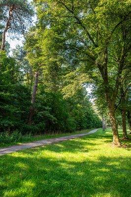 Der nahegelegene, weitläufige Perlacher Forst
