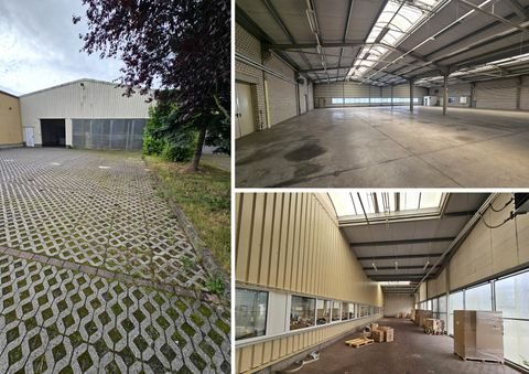 Markkleeberg Halle, Markkleeberg Hallenfläche