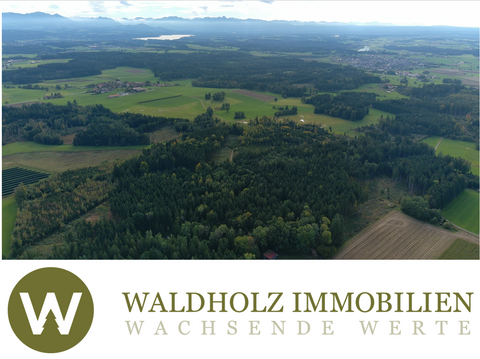 Höslwang Bauernhöfe, Landwirtschaft, Höslwang Forstwirtschaft