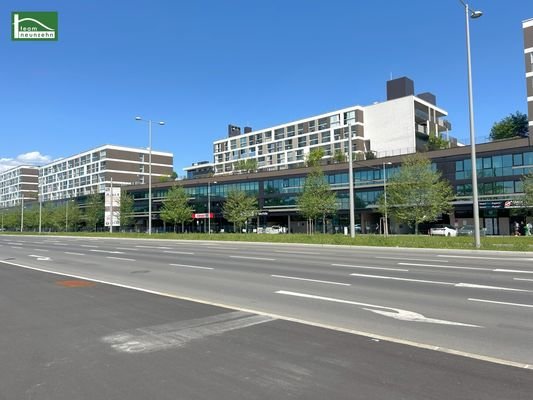 Brauqartier