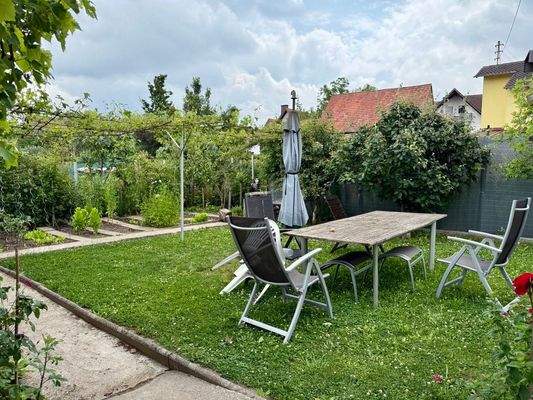 photo_2025-06-07_15-50-08