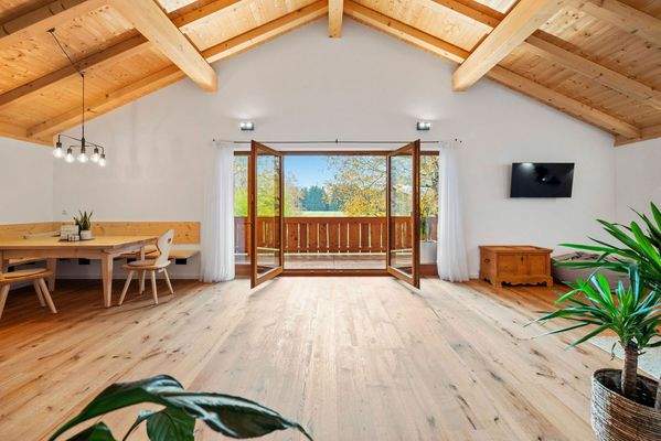 Zugang zum Balkon OG