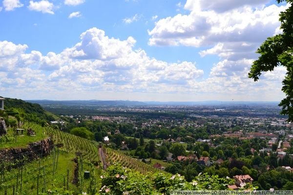 Blick von Weinbergen auf Radebeul