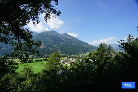 Obervellach Bauernhöfe, Landwirtschaft, Obervellach Forstwirtschaft