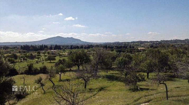 grundstueck-selva-23