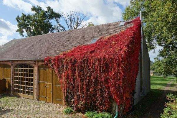 Scheune mit Durchfahrt zum hinteren Grundstück
