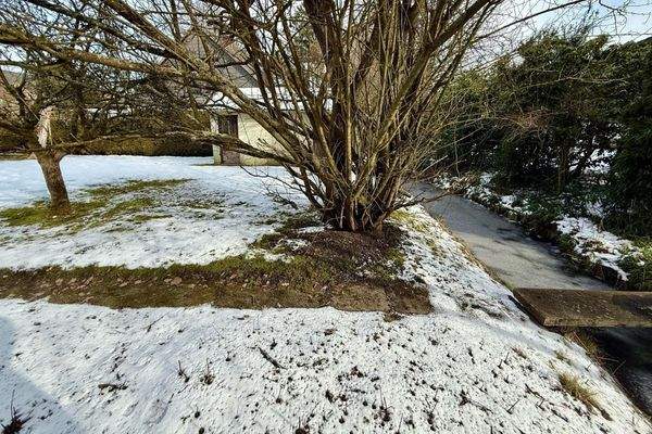 Grundstücksgrenze hinten