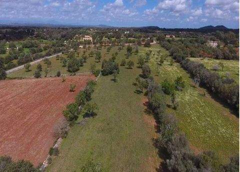 Cas Concos Des Cavaller Grundstücke, Cas Concos Des Cavaller Grundstück kaufen