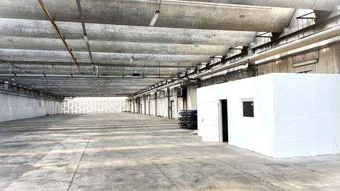 Bruchsal Halle, Bruchsal Hallenfläche