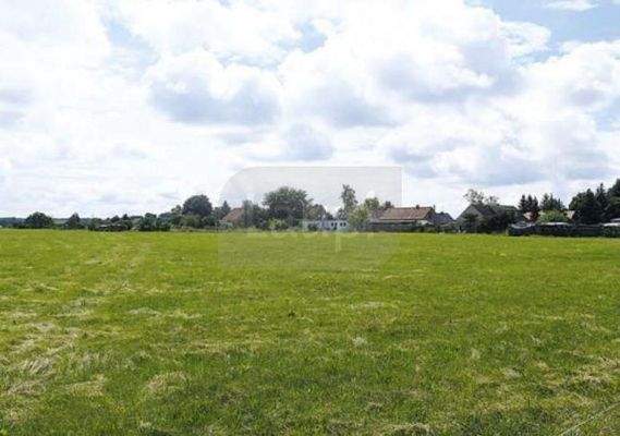 Grundstücksansicht im Sommer 08