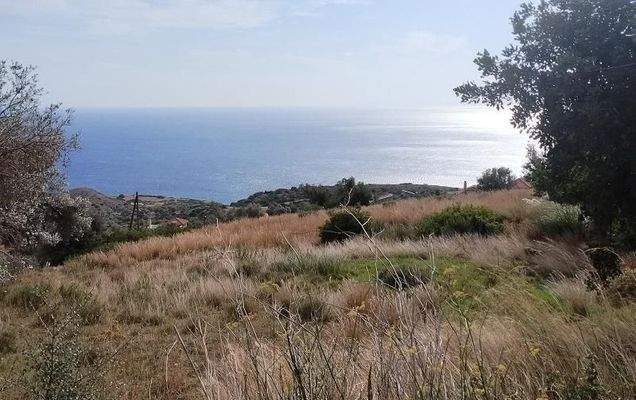 Kreta, Agia Paraskevi: Grundstück im Süden zum Verkauf