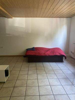 1-Zimmer EG