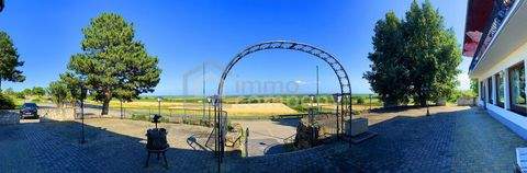 Breitenbrunn am Neusiedler See Häuser, Breitenbrunn am Neusiedler See Haus kaufen