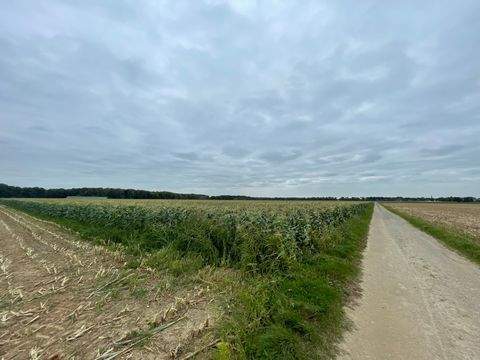 Viersen Bauernhöfe, Landwirtschaft, Viersen Forstwirtschaft