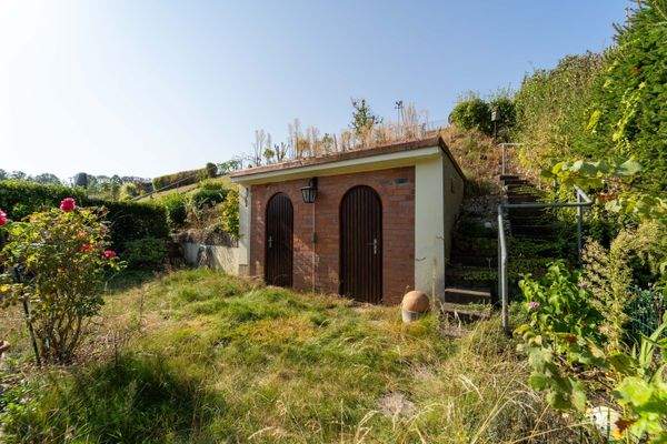 Außenansicht + Garten-